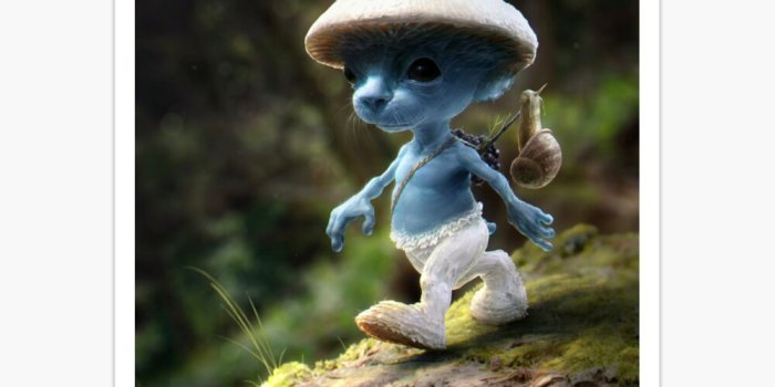 1000x1000 Blue Smurf Cat meme, shailushai ,shailush mushroom cat 