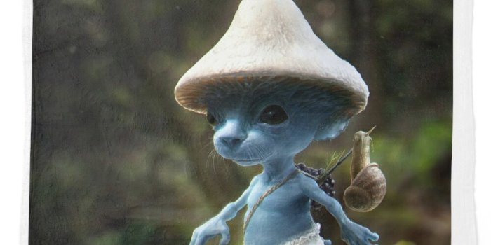 1000x1000 Blue Smurf Cat meme, shailushai ,shailush mushroom cat 