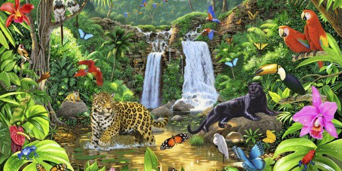 3200x2299 Rainforest Harmony Mural Wallpaper | Rainforest Wall Mural - Murals Your Way