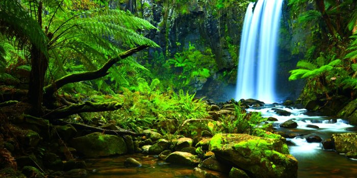 1920x1080 Amazon Rainforest waterfall wallpaper - backiee