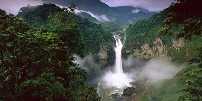 1920x1080 40+ Rainforest HD Wallpapers and Backgrounds