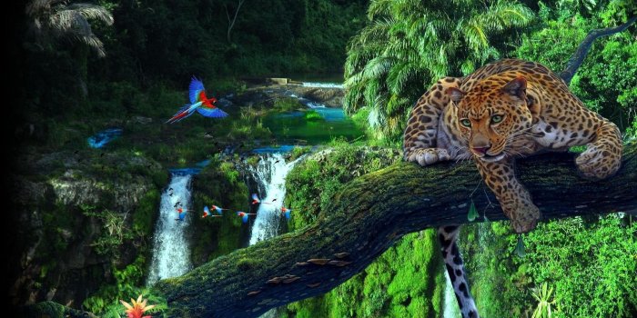 1920x1080 Amazon Rainforest Wallpaper Images #vIM | Jaguar wallpaper, Rainforest,  Animals