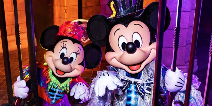 1080x1920 Official]Wallpaper|Tokyo Disney Resort