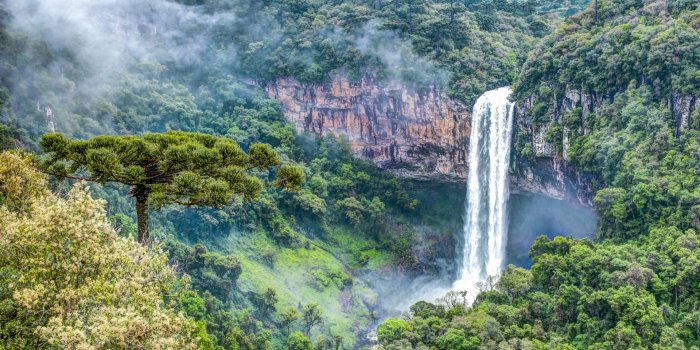 1920x1214 Rainforest Waterfall