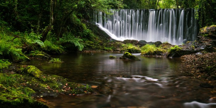 3840x2400 10+ 4K Rainforest Wallpapers | Background Images