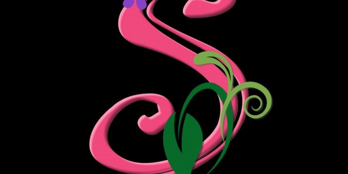 1600x1162 Name Wallpapers Free