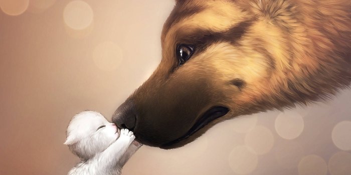 1920x1200 100+] Cute Wolf Wallpapers | Wallpapers.com