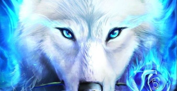 676x1200 17 Cool wolf backgrounds ideas | wolf wallpaper, wolf background, wolf  spirit animal