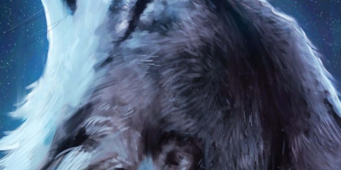 1440x2960 Download Cute Wolf Pictures | Wallpapers.com