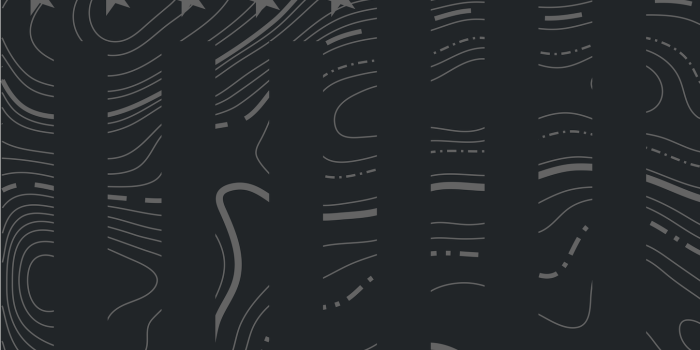 1447x2770 Tactical Instinct Wallpaper Vertical Stars and Stripes : r/iphonewallpapers