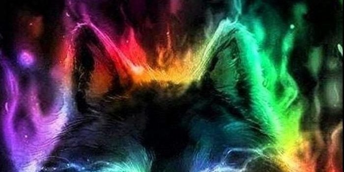 700x1244 Cool Wolf iPhone X Wallpaper HD | 2020 Phone Wallpaper HD | Wolf wallpaper,  Iphone wallpaper wolf, Wolf pictures