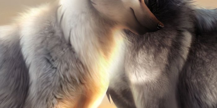 1125x2436 Cute Wolf Wallpapers