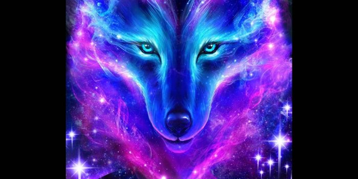 1620x1738 Download Galaxy Cute Wolf Wallpaper | Wallpapers.com