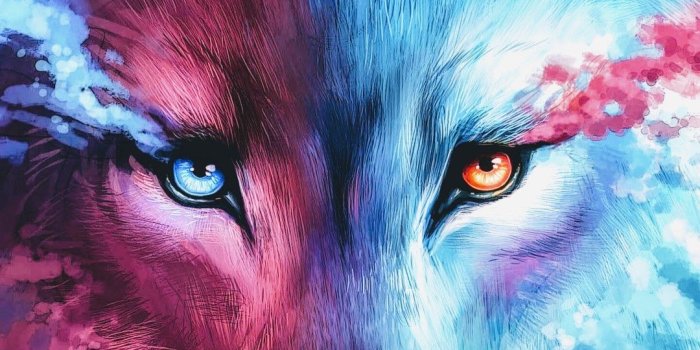 1080x1920 Cute Wolf Wallpaper - KoLPaPer - Awesome Free HD Wallpapers