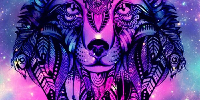736x1309 2017 Galaxy Wolf Wallpaper Created By Me | Wolf wallpaper, Galaxy wolf,  Galaxy wallpaper