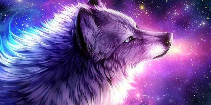 1440x960 Galaxy Wolf Wallpaper - NawPic
