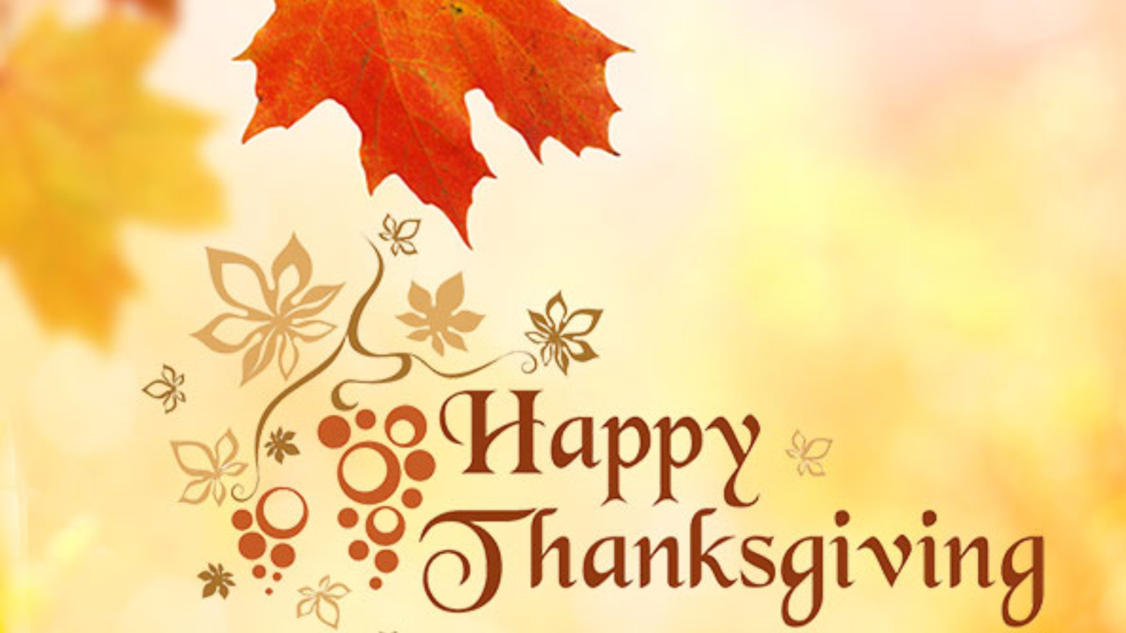 2560x1440 Thanksgiving 2023 Wallpapers