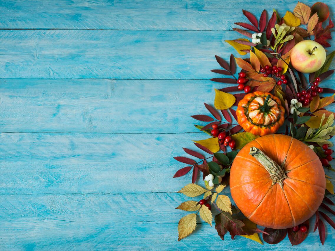 1137x853 Photos: Thanksgiving Zoom backgrounds to boost the virtual festivities from  afar | TechRepublic
