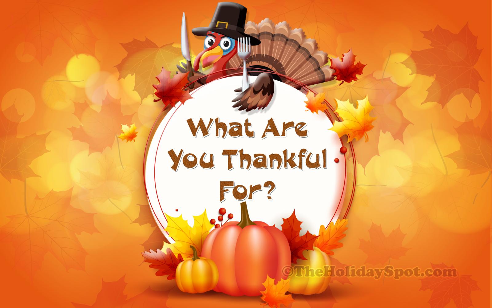 2560x1600 Happy Thanksgiving Images and HD Wallpapers Background 2023