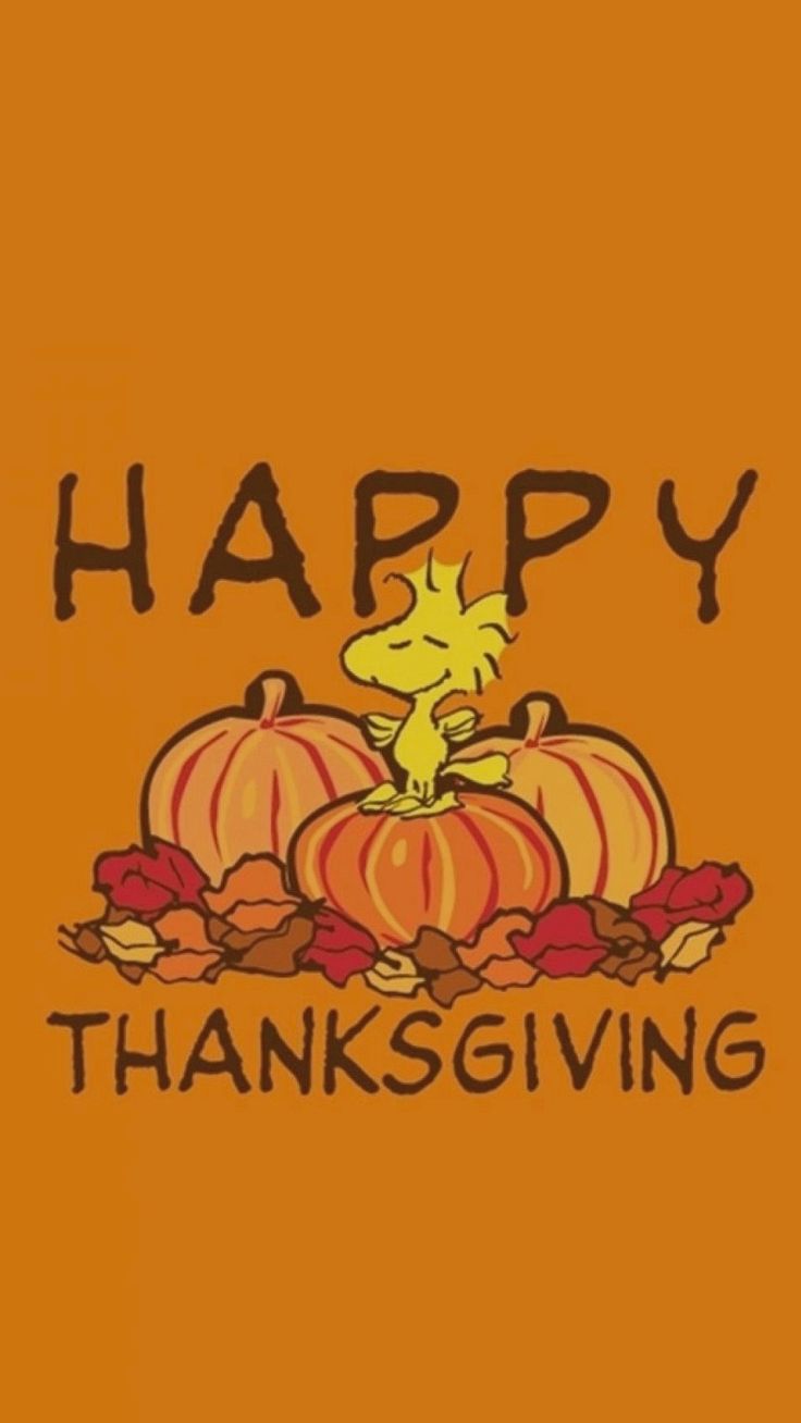 736x1308 Courtney Wynn on iPhone backgrounds | Thanksgiving wallpaper,  Thanksgiving iphone wallpaper, Sunset iphone wallpaper