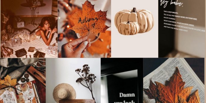 1080x1920 aesthetic autumn iphone wallpaper collage | Iphone wallpaper fall, Cute  fall wallpaper, Fall wallpaper