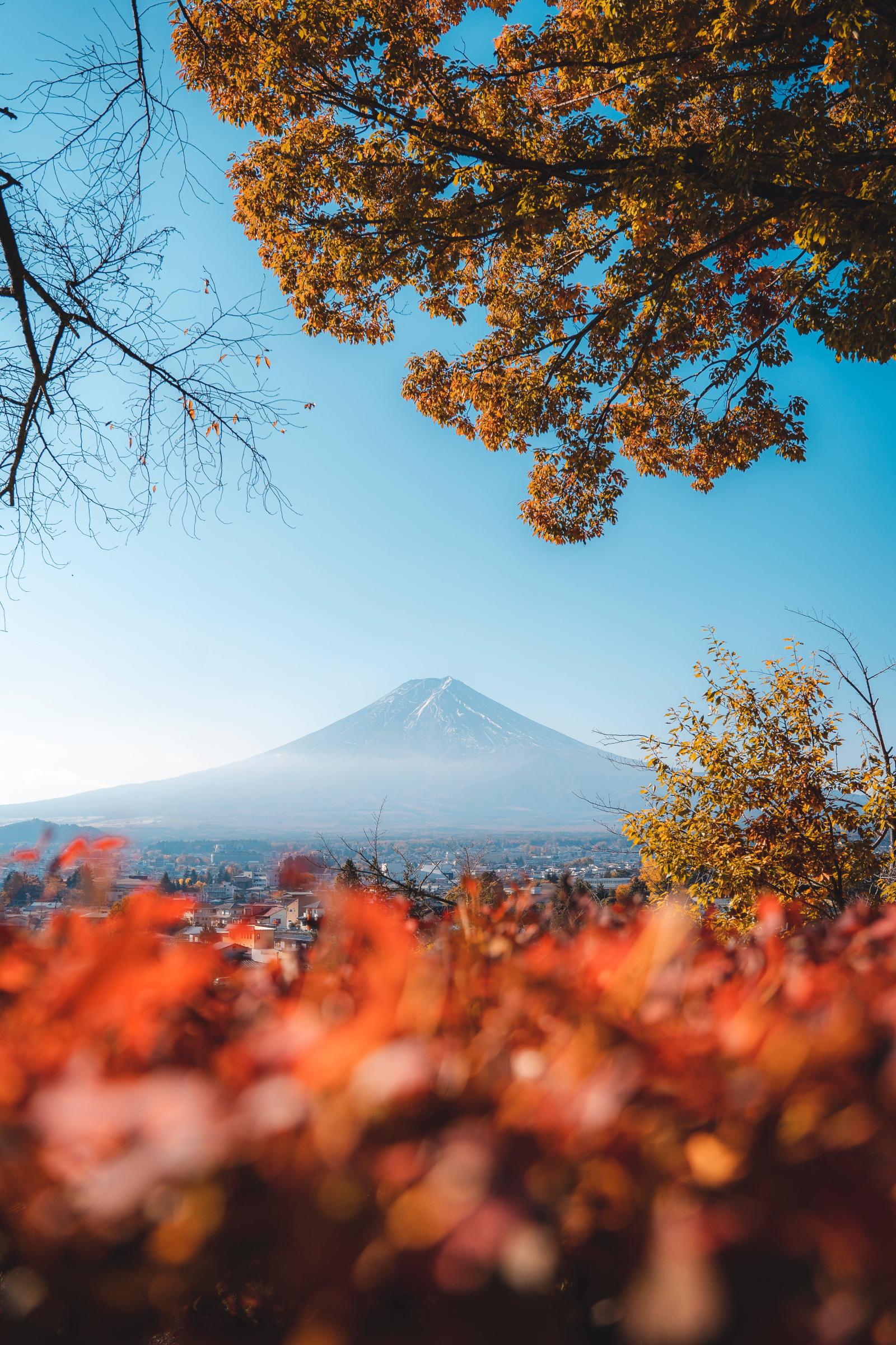 4000x6000 Mount Fuji Photos, Download The BEST Free Mount Fuji Stock Photos & HD  Images