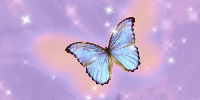 800x1422 Cute Wallpaper | Free Beautiful HD iPhone, Samsung & Mobile Phone Images -  rawpixel