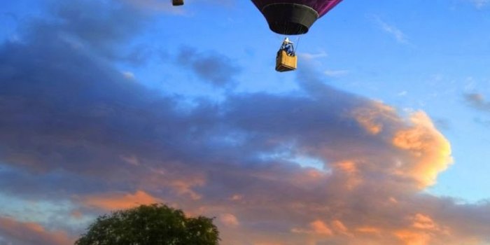 736x1308 Rainbow Colored Air Balloons - Best htc one wallpapers | Hot air balloon,  Hot air balloon rides, Air balloon rides