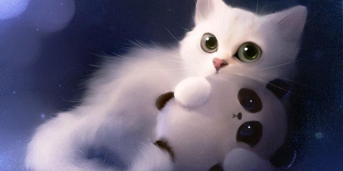 1920x1080 Cute Desktop Wallpaper HD - Wallpaper HD 2023