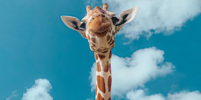 1000x1088 Cute Wallpapers: Free HD Download [500+ HQ] | Unsplash