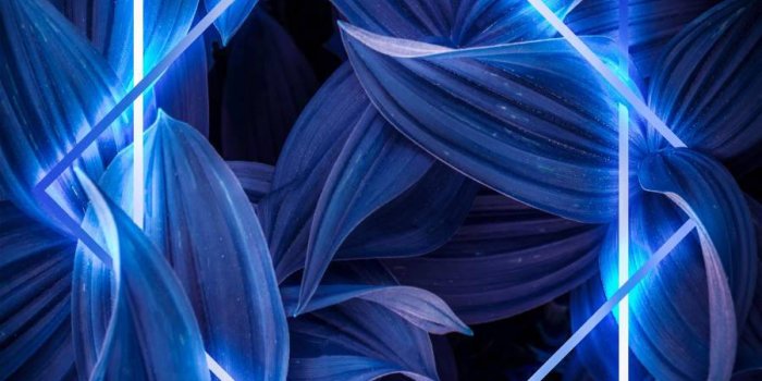 900x1600 Download Vibrant Neon Blue Wallpaper | Wallpapers.com