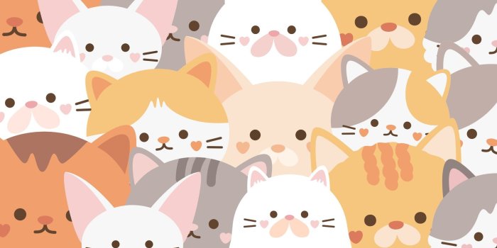 1600x900 cute cat wallpaper templates