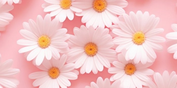 800x1427 Cute Wallpaper | Free Beautiful HD iPhone, Samsung & Mobile Phone Images -  rawpixel