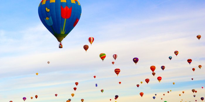 2560x1600 Hot Air Balloon Field Ultra HD Desktop Background Wallpaper for : Tablet :  Smartphone