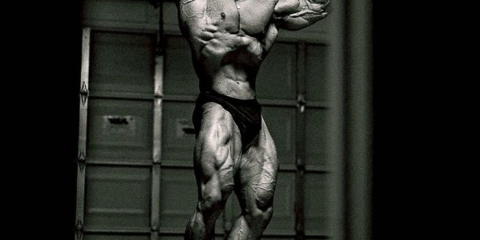 960x1200 CBUM (Chris Bumstead) posing wallpaper in 2023 | Fitnessbilder,  Krafttraining übungen, Sportler