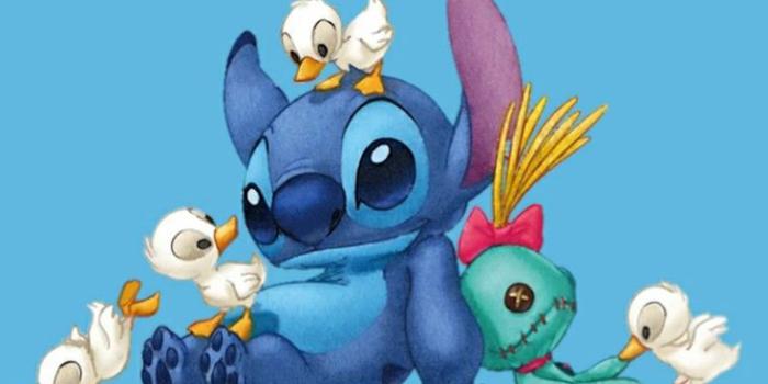 736x1308 Background Stitch Wallpaper Discover more Character, Cute, Fictional, Lilo  Pelekai, Protagonist wal… | Cute disney wallpaper, Character wallpaper,  Cartoon wallpaper