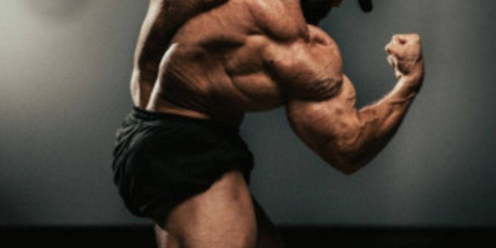 1080x1920 Download Chris Bumstead Speed Bag In Backdrop Wallpaper | Wallpapers.com in  2023 | Gym wallpaper, Bodybuilding pictures, Bodybuilding motivation