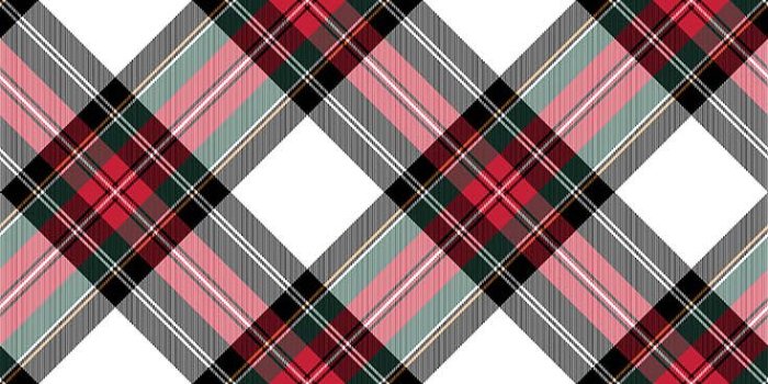 735x1470 Dress Stewart Tartan Fabric Texture Seamless Stock Vector (Royalty Free)  390602494 | Shutterstock | Christmas phone wallpaper, Wallpaper iphone  christmas, Cute christmas wallpaper