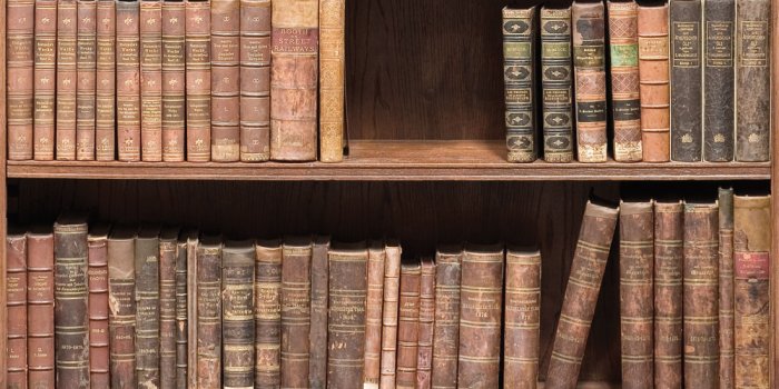 1100x1318 Bookshelf Wallpaper • Realistic Library Design • Milton & King