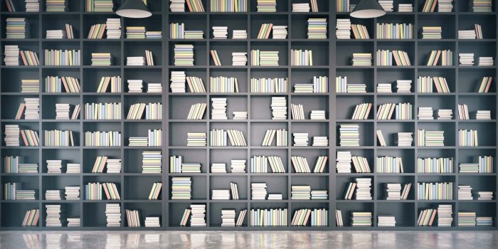 1600x901 100+] Shelf Backgrounds | Wallpapers.com
