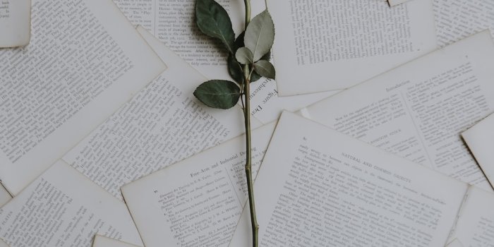 1000x1476 100+ Love Letter Pictures [HD] | Download Free Images on Unsplash