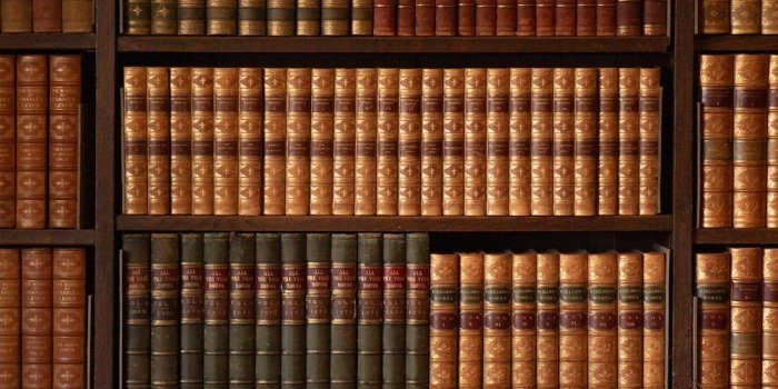 1000x1505 750+ Bookshelf Pictures [HD] | Download Free Images on Unsplash