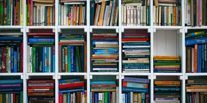 1920x1285 100+] Bookshelf Zoom Backgrounds | Wallpapers.com