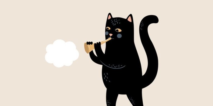 900x1600 Free custom funny cat phone wallpaper templates | Canva