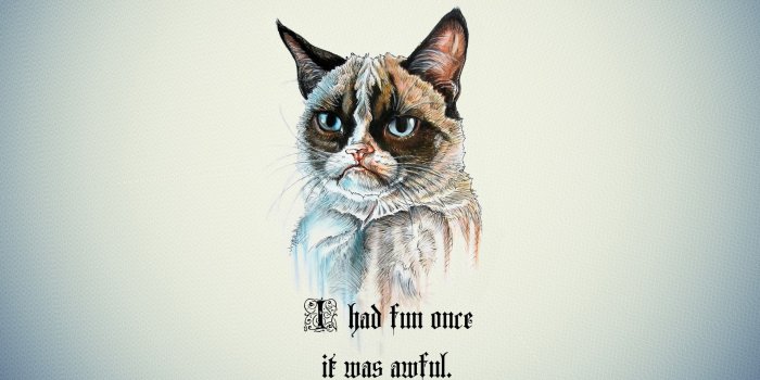 1920x1200 10+ Grumpy Cat HD Wallpapers and Backgrounds