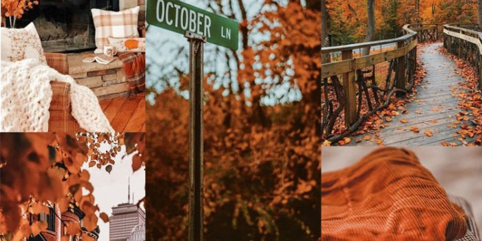 750x1433 20 Autumn Collage Wallpapers : Autumn