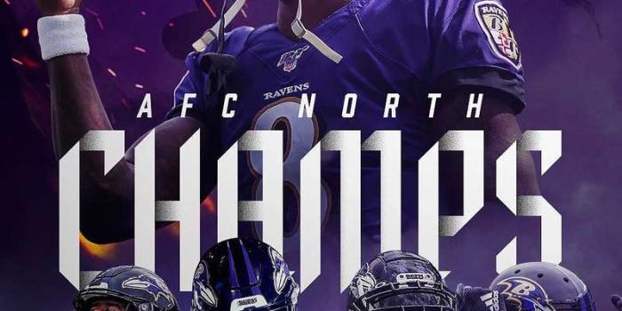 800x1422 Baltimore Ravens Mobile Phone Wallpapers · Free Download | Z-Wallpaper