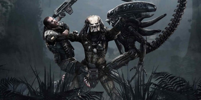 1600x1000 Awesome Wallpapers 6496 1600x1000px