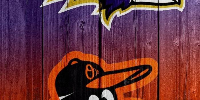 1080x1920 Baltimore Ravens iPhone Wallpapers - 2023 NFL Football Wallpapers |  Baltimore orioles iphone wallpaper, Orioles iphone wallpaper, Orioles  wallpaper