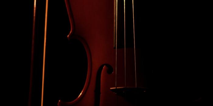1000x1500 100+ Violin Pictures | Download Free Images on Unsplash